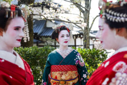 Japan_Sakura_2025 (45/79)